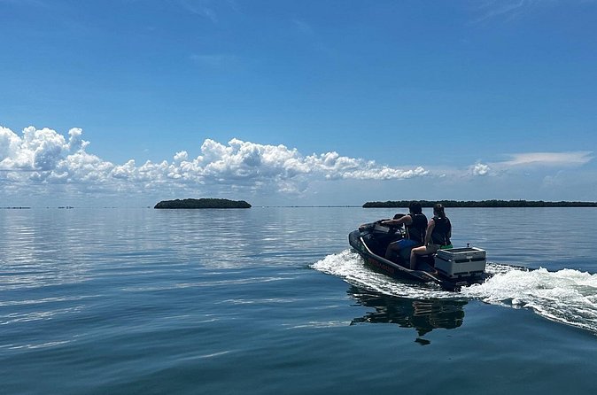 90 Minute Jet Ski Ft Desoto Sand Bar Tour - Jet skis, guide style, and staying comfortable in the water