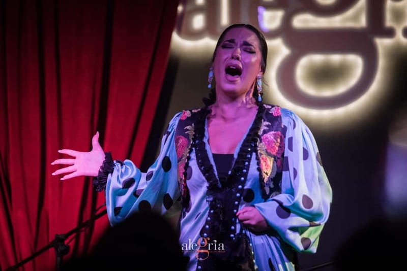 Alegria Flamenco in Malaga, with Transfer, Cocktail and Premium Location - Key things to know before you go