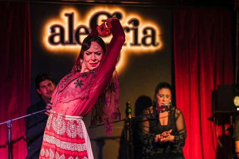 Alegria Flamenco in Malaga, with Transfer, Cocktail and Premium Location - Who should book it, and who might want another option