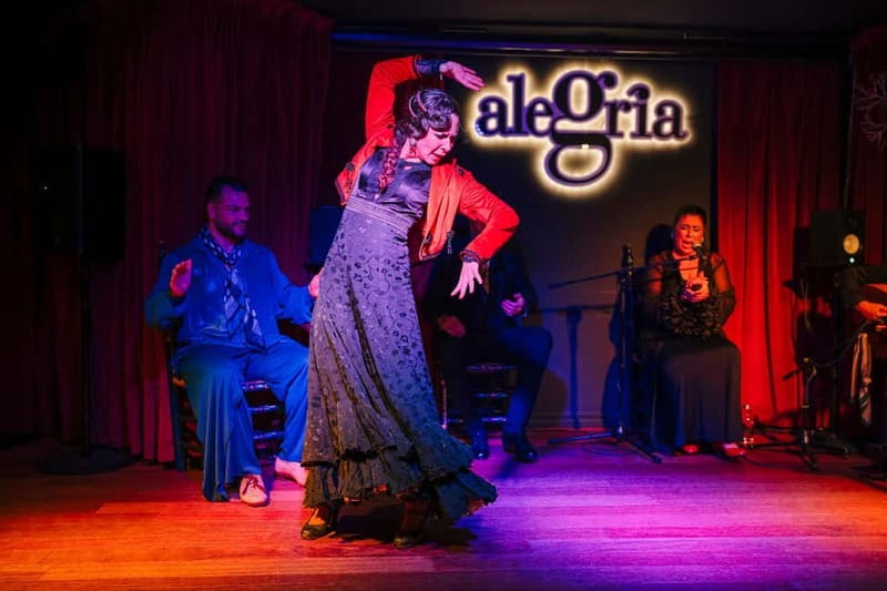 Alegria Flamenco in Malaga, with Transfer, Cocktail and Premium Location - Practical tips for a smooth evening in Malaga