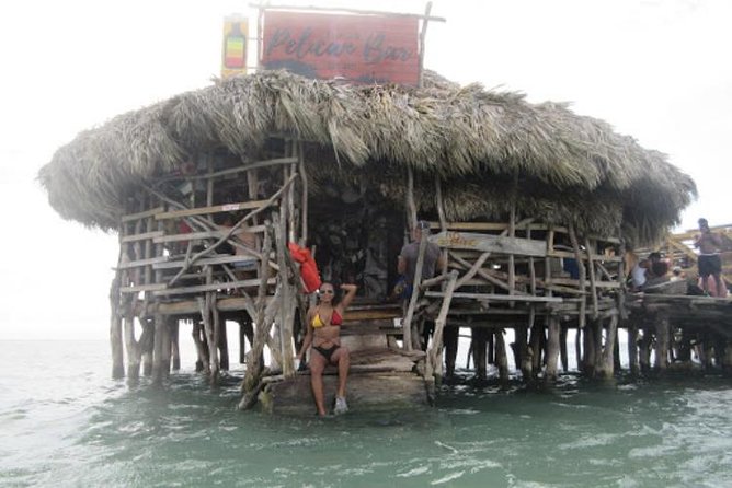 Appleton Estate Rum, YS Falls, Black River Safari / Floyd's Pelican Bar Tour - Price and Logistics: What $275 Covers (and What You’ll Need to Budget)