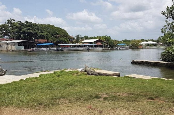 Appleton Estate Rum, YS Falls, Black River Safari / Floyd's Pelican Bar Tour - Appleton Estate Rum Experience: Distillery Visit for Rum Lovers