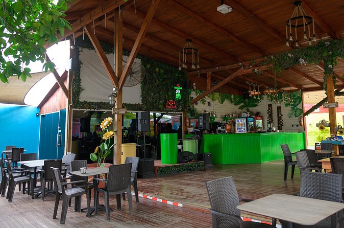 Bar Crawl in Punta Cana - Games, Icebreakers, and Karaoke: Who This Is Best For