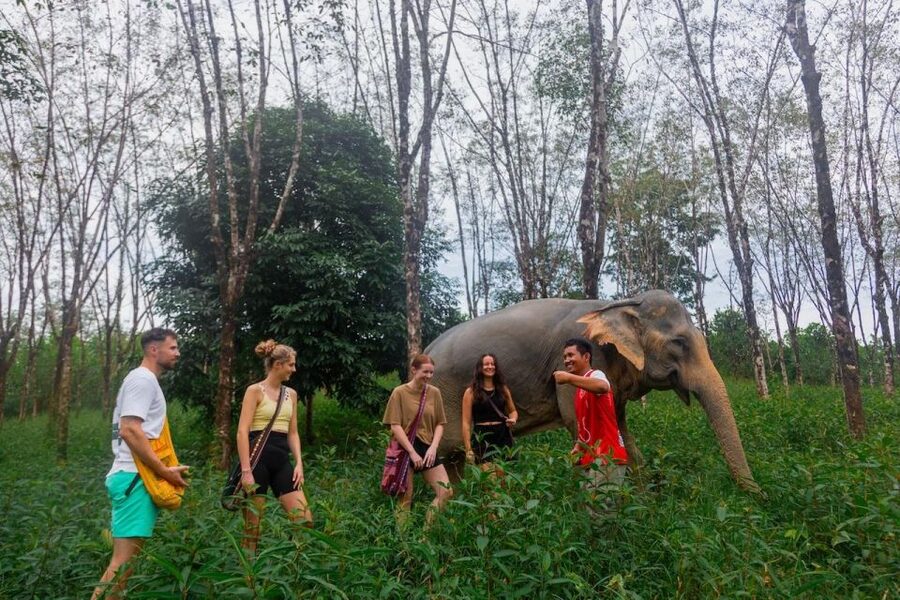 Khaolak: Sunset Elephant Walk with Complimentary Cocktail - Cocktail welcome: a small perk that changes the mood