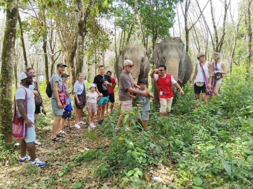 Khaolak: Sunset Elephant Walk with Complimentary Cocktail - Price and value: $40 makes sense if you want an ethical short experience
