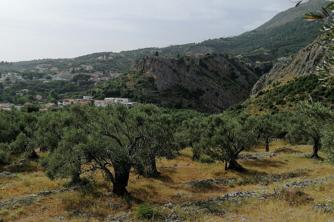 Port of Bar tour - Explore Adriatic area - Bar and Ulcinj tour - Key Highlights You’ll Actually Care About