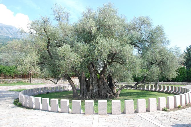 Port of Bar tour - Explore Adriatic area - Bar and Ulcinj tour - Ulcinj Old Town: Legends, Towers, and Venetian Palaces