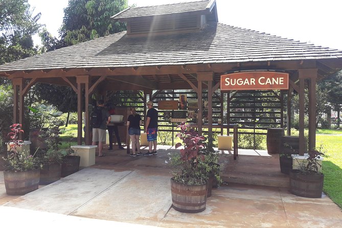Private Appleton Estate Rum and Pelican Bar Tour from Montego Bay - Entering the Appleton Estate Rum Experience From Montego Bay