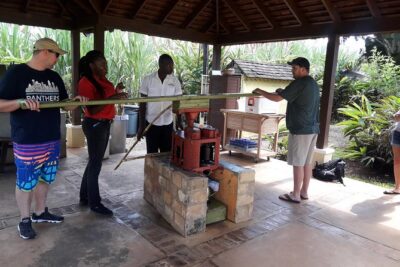 Private Appleton Estate Rum and Pelican Bar Tour from Montego Bay - The Joy Spence Appleton Estate Tour: Molasses, Sugar Cane Juice, and the Factory