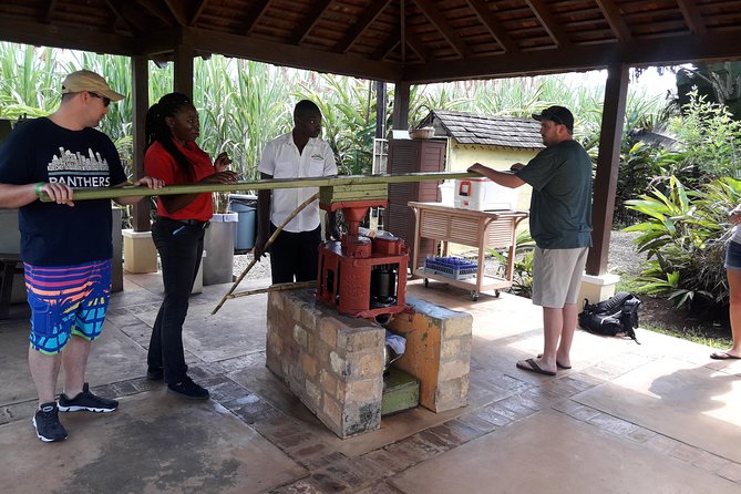 Private Appleton Estate Rum and Pelican Bar Tour from Montego Bay - The Joy Spence Appleton Estate Tour: Molasses, Sugar Cane Juice, and the Factory