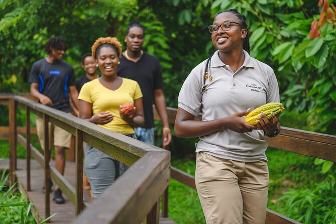 Project Chocolat Tree to Bar Tour at Hotel Chocolat Saint Lucia - Price and value: what $124 buys you in real time