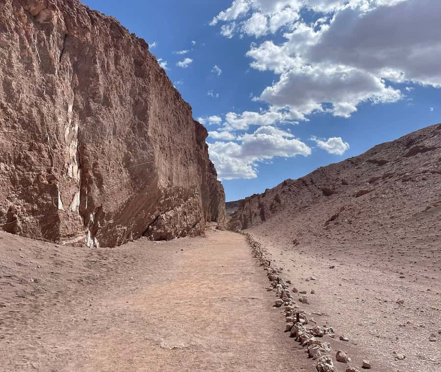 San Pedro de Atacama Tour Guiado Valle de la Luna & Cocktail - Key highlights worth showing up for