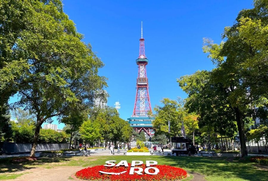 Sapporo: Buddha Hill, TV Tower, and Sake Stand Bar Tour - Key Things I’d Pay Attention To