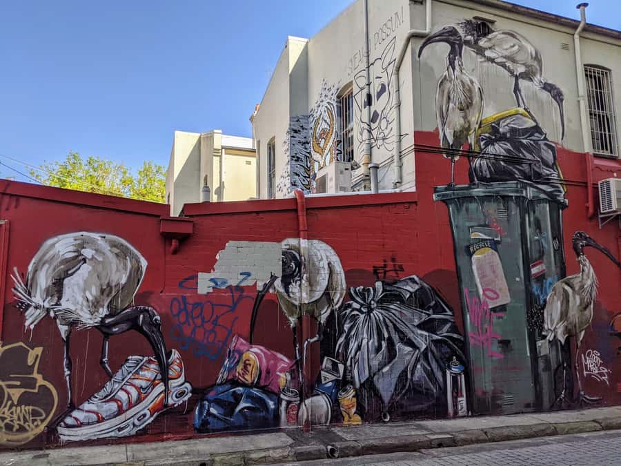Sydney: Street Art & Small Bar Tour with Complimentary Drink - Key things I’d plan around before you go