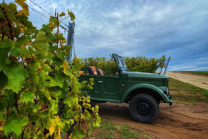 The only Wine Cocktail Club in Tokaj, Lunch & Fun, Hungary - Included extras that make the day feel complete