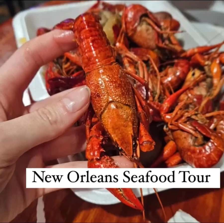 Treme Bar Crawl & Seafood Experience - The Seafood Finale: Finishing at a Black-Owned Restaurant