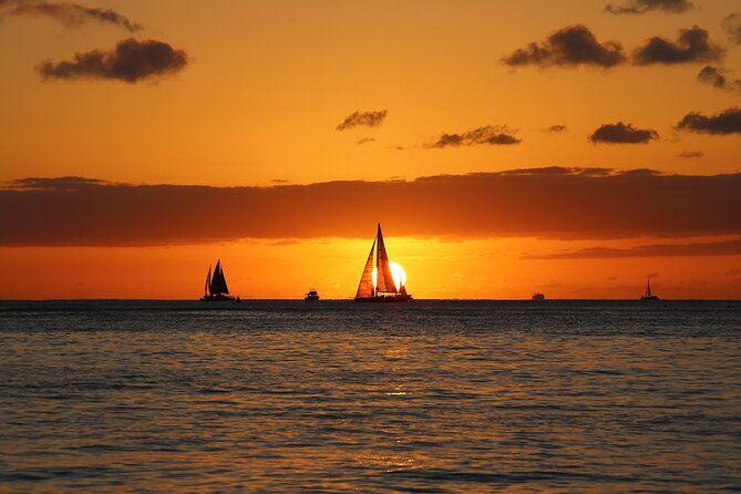 Waikiki Sunset Cocktail Cruise - Hilton Hawaiian Village - The Included Dinner: Sliders, Sake Glaze, and Dietary Options