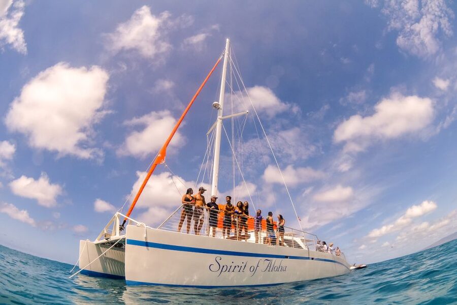 Waikiki Sunset Cocktail Cruise with Drinks and Appetizers - Key Highlights You’ll Actually Feel