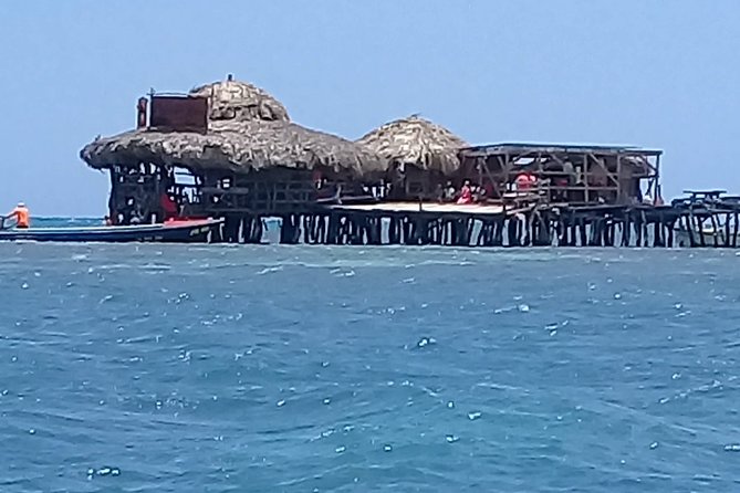YS Falls & Pelican Bar Tour - Food and Side Stops: How to Handle Lunch Without Stress